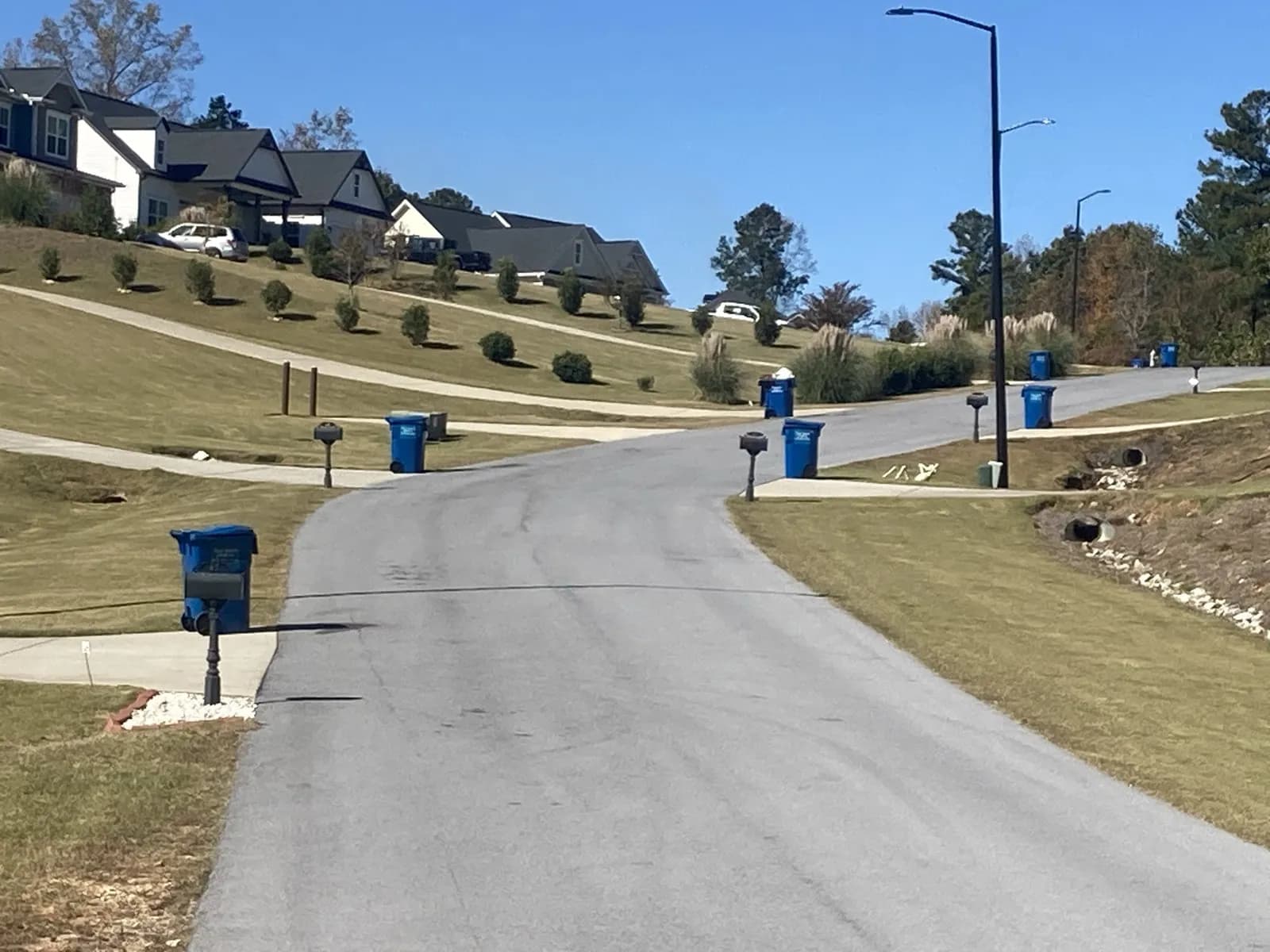 Blue Top Notch carts lined up on pickup day